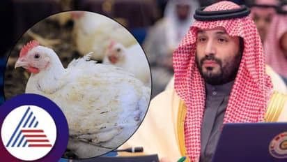 ಸೌದಿ ಅರೇಬಿಯಾದಲ್ಲಿ ಚಿಕನ್ ಬಿಕ್ಕಟ್ಟು; ಮಾಂಸದ ಕೊರತೆ ನೀಗಿಸಲು $4.5 ಶತಕೋಟಿ ಹೂಡಿಕೆ