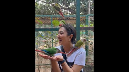 ಶೂಟಿಂಗ್ ಗೆ ಬ್ರೇಕ್… ಪ್ರಾಣಿ, ಪಕ್ಷಿಗಳ ಜೊತೆ ಸಮಯ ಕಳೆಯುತ್ತಾ ಎಂಜಾಯ್ ಮಾಡಿದ ವೈಷ್ಣವಿ ಗೌಡ