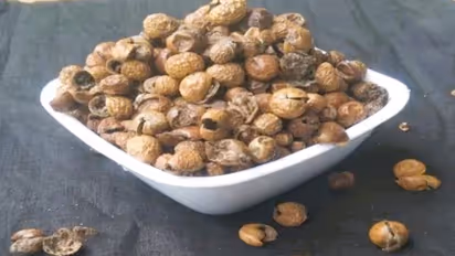 பெண்களே '4' காய்ந்த சுண்டைக்காயை மென்று தின்னுங்கள்.. கொடிய பிரச்சனைக்கு தீர்வு!!  