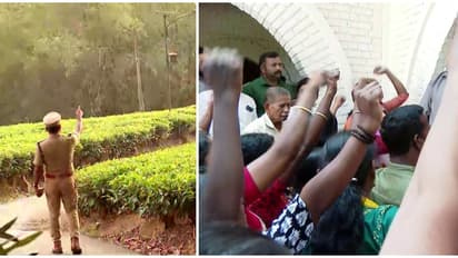 കടുവയെ കണ്ടെന്ന് നാട്ടുകാർ, പഞ്ചാരക്കൊല്ലിയിൽ ഡ്രോൺ പരിശോധന; ജനങ്ങളെ മാറ്റുന്നു; ജാഗ്രതാ നിർദ്ദേശം