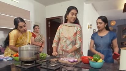 വെജിറ്റേറിയൻ ഓംലറ്റോ?, ശ്രദ്ധയാകര്ഷിച്ച് ഗീതാഗോവിന്ദം വീഡിയോ പ്രൊമോ