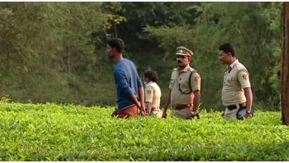 വയനാട്ടിൽ വീണ്ടും കടുവ? വളർത്തുനായയെ കടുവ പിടിച്ചെന്ന് നാട്ടുകാർ