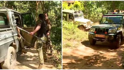 ആളെക്കൊല്ലി കടുവയ്ക്കായി സ്പെഷ്യൽ ഓപറേഷൻ, തെരച്ചിൽ പുലർച്ചെ ആരംഭിച്ചു, സംഘത്തിൽ ഷാർപ്പ് ഷൂട്ടർമാരും