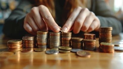 multibagger share pcbl