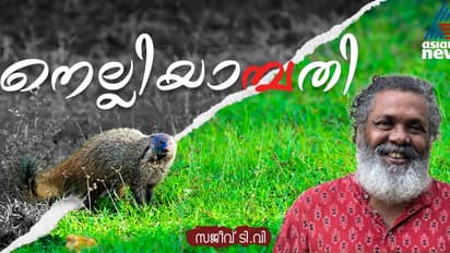 വാരിയെടുത്ത് നെഞ്ചോടു ചേര്‍ക്കാന്‍ തക്ക സൗന്ദര്യമുണ്ടായിരുന്നു അതിന്; സ്‌നേഹമുണ്ടായിരുന്നു എനിക്കും!