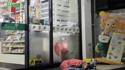 അവന്റെ ഏകാന്തതയ്‍ക്കും ദുരിതത്തിനും അവസാനം, മരിച്ചുപോയ ഉടമയെ കാത്തിരുന്ന നായയെ ദത്തെടുത്ത് രാജകുമാരി 