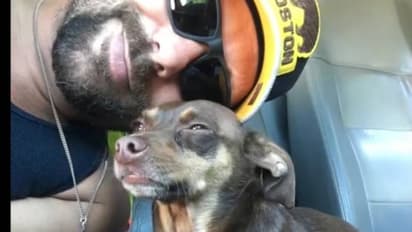 നീണ്ട എട്ട് വർഷം, അപ്രതീക്ഷിതമായി ഒരു കോൾ, പ്രിയപ്പെട്ട നായയുമായി ഒന്നുചേർന്ന് ഉടമ