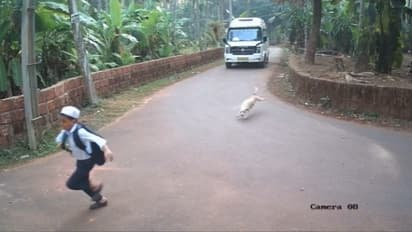 'ഒരേ സ്ഥലം ഒരേ നായ', നാദാപുരത്ത് വീണ്ടും തെരുവുനായ ആക്രമണം, സ്‌കൂള്‍ വിദ്യാര്‍ത്ഥിക്ക് പരിക്ക് 