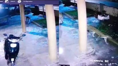 ഒന്നല്ല, രണ്ട്! ബെംഗളൂരു നഗരത്തിൽ പുലികൾ, അതീവ ജാഗ്രത പാലിക്കാൻ നിർദേശം