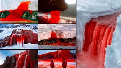 ಅಪರೂಪದ ಪ್ರಾಕೃತಿಕ ವಿಸ್ಮಯಕ್ಕೆ ಕಾರಣವಾದ ಅಂಟಾರ್ಟಿಕಾ:  ಈ ರಕ್ತಜಲಪಾತಕ್ಕೆ ಕಾರಣವೇನು? 