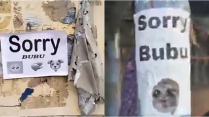 'സോറി ബുബു'; മതിലുകളിലും തൂണുകളിലും കിലോമീറ്ററുകളോളം നിഗൂഢ പോസ്റ്റർ, പൊലീസ് അന്വേഷണം