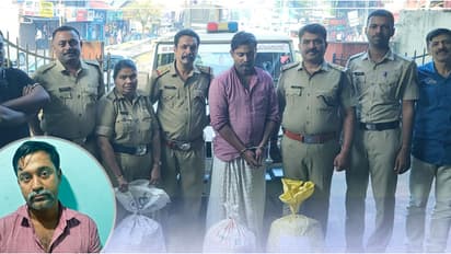 പെരുമ്പാവൂരിൽ ഓട്ടോറിക്ഷയിൽ കടത്തിയ 20.3 കിലോഗ്രാം കഞ്ചാവ് പിടികൂടി; യുവാവ് അറസ്റ്റിൽ