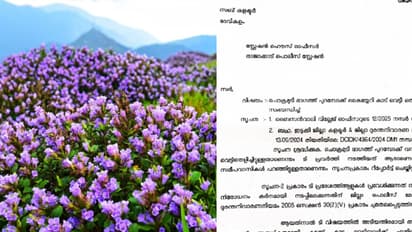 ഗേറ്റിന്റെ പൂട്ട് തകർത്ത് ചൊക്രമുടിയിൽ കയറി നീലക്കുറിഞ്ഞി നശിപ്പിച്ചു; പ്രതികൾക്ക് പണി വരുന്നു, ക്രിമിനൽ കേസ്