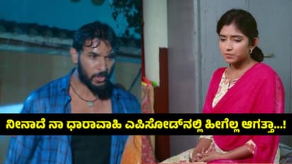 Neenadhe Naa Serial: ಜೀವಂತವಾಗಿ ಮಣ್ಣಾಗಿದ್ದ ವಿಕ್ರಮ್‌ ಮತ್ತೆ ಎದ್ದು ಬಂದ..! ಯಪ್ಪಾ..ಎಂಥ ಚಿತ್ರಕಥೆ! 