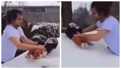 മൂന്ന് മാസം പ്രായമുള്ള കുഞ്ഞിനെ ഉപയോഗിച്ച് കാറിന്‍റെ മുകളിലെ മഞ്ഞ് നീക്കുന്ന അച്ഛന്‍; വീഡിയോ വൈറൽ 