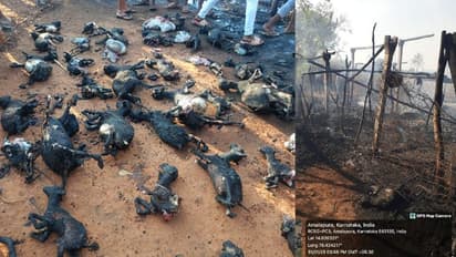 ಬಳ್ಳಾರಿಯಲ್ಲಿ ಕುರಿ ಹಟ್ಟಿಗೆ ಬೆಂಕಿ: ಸುಟ್ಟು ಕರಕಲಾಗಿ ಬಿದ್ದ 40 ಕುರಿಗಳು