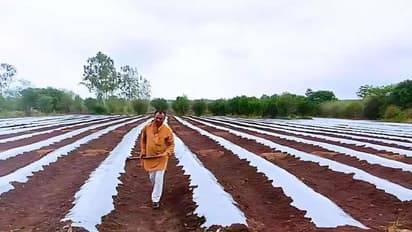 How Radheshyam Parihar built a successful organic farming business that brings in Rs 20 lakh annually