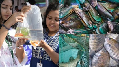 കല്ലുമ്മക്കായ ബിരിയാണി, സാഗരസദ്യ, കരിമീനടക്കം വേറെയും ഉണ്ട് ഐറ്റംസ്, 'ടേസ്റ്റ് ചെയ്യാൻ പോന്നോളീൻ കൊച്ചിക്ക്'