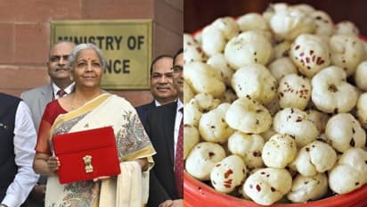 ബജറ്റിൽ താരമായി മഖാന ; പോഷക സമൃദ്ധവും രുചികരവും, എന്താണ് മഖാന?