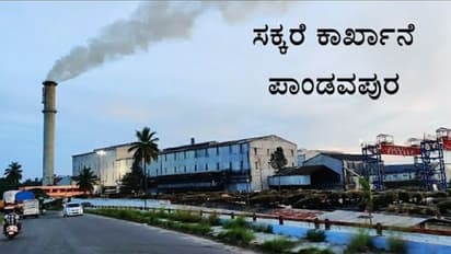ನಿರಾಣಿ ಶುಗರ್ಸ್‌ನಿಂದ ಪಿಎಸ್‌ಎಸ್‌ಕೆ ನೌಕರರ ವಜಾ: ಪ್ರತಿಭಟನೆ