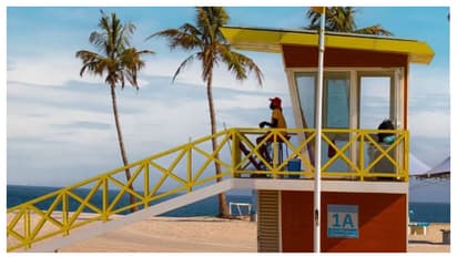 അൽ മംസാർ ബീച്ചിൽ അടിയന്തിര മുന്നറിയിപ്പ് സംവിധാനം അവതരിപ്പിച്ച് ദുബായ് മുനിസിപ്പാലിറ്റി