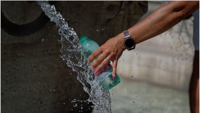 അൾട്രാവയലറ്റ് സൂചിക എട്ടിലേക്ക് എത്തിയ 2 പ്രദേശങ്ങൾ, നാലിടങ്ങളിൽ ഏഴ്; അതീവ ജാഗ്രത വേണമെന്ന് മുന്നറിയിപ്പ് 