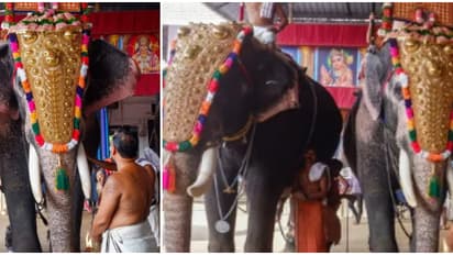 തലപ്പൊക്ക മത്സരം നടത്താനേ പാടില്ല, ഒന്ന് മിനുങ്ങാൻ പാപ്പാൻ 2 അടിച്ചാൽ പിടിവീഴും; ആനയെഴുന്നള്ളിപ്പ് നിർദേശങ്ങൾ