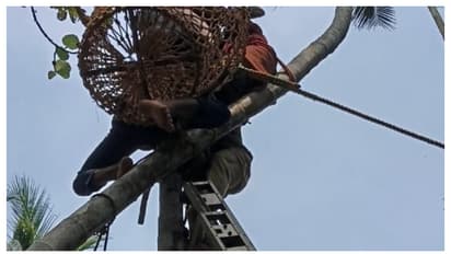 കവുങ്ങില് കയറുന്നതിനിടെ തലകീഴായി തൂങ്ങിപ്പോയ അറുപതുകാരന് രക്ഷകരായി അഗ്നിരക്ഷാ സേന