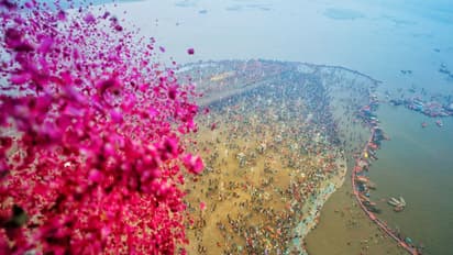 മഹാ കുംഭമേള; മാലിന്യ നീക്കത്തിന് ഹൈ ടെക്ക് ട്രാഷ് സ്കിമ്മർ 