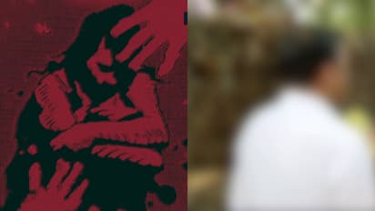 ഹോട്ടലുടമ വിശ്വാസ്യത നേടാൻ ശ്രമിച്ചു, പ്രലോഭനത്തിന് വഴങ്ങാതായതോടെ യുവതിയെ ഉപദ്രവിക്കാൻ ശ്രമിച്ചെന്ന് ബന്ധു