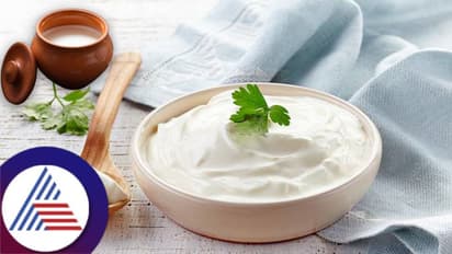 Curd:ఈ చిన్న టెక్నిక్ వాడితే పెరుగు క్రీమీగా, టేస్టీగా మారడం పక్కా