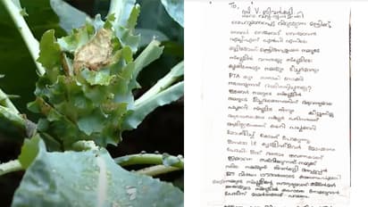 '18 ക്വാളിഫ്ലവർ മോഷ്ടിച്ചു, സിസിടിവി വേണം മന്ത്രിയപ്പൂപ്പാ' ;ഒടുവിൽ കുട്ടിക്കർഷകർക്ക്  മറുപടി നൽകി മന്ത്രി