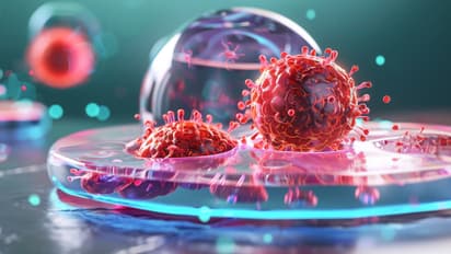 World Cancer Day 2025: ക്യാന്സര് സാധ്യത കുറയ്ക്കാന് സഹായിക്കുന്ന ഭക്ഷണങ്ങള്