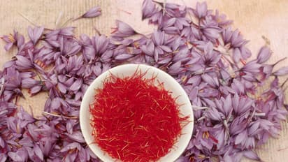 Top 10 most expensive food