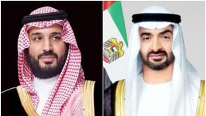 ഉഭയകക്ഷി സഹകരണം: യുഎഇ പ്രസിഡന്റും സൗദി കിരീടാവകാശിയും ചർച്ച നടത്തി