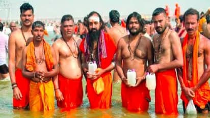 ಜನಸಾಗರ ನಡುವೆಯೂ ವ್ಯವಸ್ಥಿತ ಕುಂಭಮೇಳ: ಸಾವಿರಾರು ಮಂದಿ ನಾಪತ್ತೆ ಸುಳ್ ಸುದ್ದಿ!