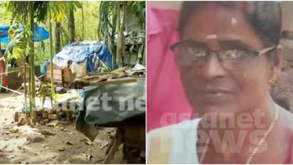 കോട്ടയത്ത് ഭാര്യാമാതാവിനെ പെട്രോൾ ഒഴിച്ച് തീ കൊളുത്തി മരുമകൻ; ഇരുവരും മരിച്ചു