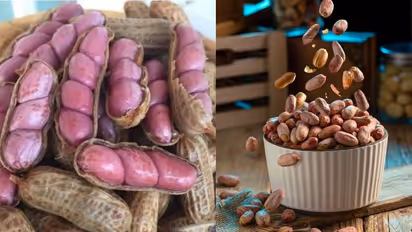 China badam or peanuts health benefits