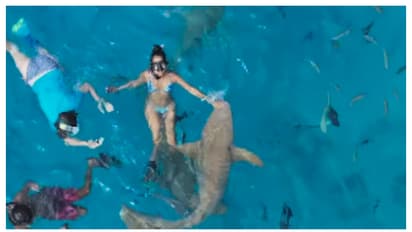 മാലിദ്വീപിലെ അവധി ആഘോഷത്തിനിടെ യുവതിയെ സ്രാവ് കടിച്ചു, സ്രാവ് തെറ്റിദ്ധരിച്ചെന്ന് പോസ്റ്റ്; വൈറലായി വീഡിയോ