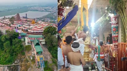 பழனி தைப்பூச விழா! விண்ணை முட்டிய அரோகரா கோஷத்துடன் கொடியேற்றம்!