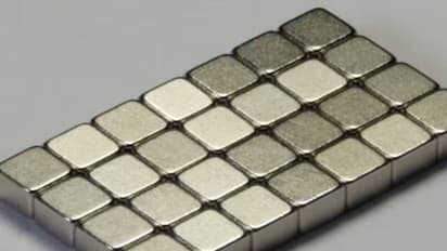 എട്ട് വയസുകാരന്‍ അബദ്ധത്തില്‍ വിഴുങ്ങിയത് കാന്തം, പിന്നെ സംഭവിച്ചത്