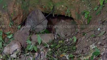 കാസർകോട് തുരങ്കത്തിനുള്ളിൽ കുടുങ്ങിയ പുലി മയക്കുവെടി വെച്ചപ്പോൾ ചാടിപ്പോയി; വെടിയേറ്റെന്ന് വനം വകുപ്പ്