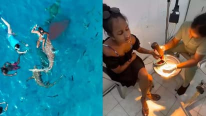 ಸಮುದ್ರದಾಳದಲ್ಲಿ ಈಜುತ್ತಿದ್ದ ಟ್ರಾವೆಲ್ ವ್ಲಾಗರ್ ಕೈ ಬೆರಳು ಕಚ್ಚಿದ ಶಾರ್ಕ್: ವೀಡಿಯೋ