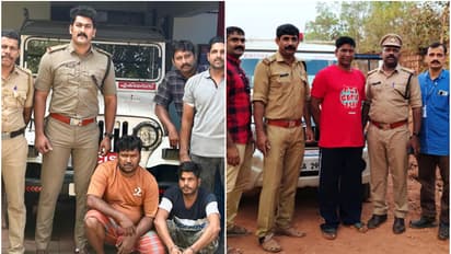 കോതമംഗലത്തും തളിപ്പറമ്പിലും കഞ്ചാവ് വേട്ട; രണ്ട് പശ്ചിമ ബംഗാൾ സ്വദേശികളും ഒരു ഒഡീഷ സ്വദേശിയും അറസ്റ്റിൽ