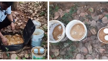 14 സ്റ്റീൽ ബോംബുകൾ, 2 പൈപ്പ് ബോംബുകൾ, വടിവാള്: ചെക്യാട് കലുങ്കിനടിയിൽ സൂക്ഷിച്ച നിലയിൽ ആയുധശേഖരം കണ്ടെത്തി