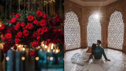 Rose Day 2025 5 Romantic Places for Outing With Your partner