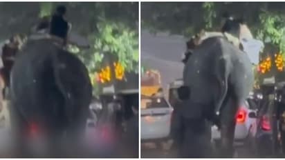 കൂറ്റനാട് നേർച്ചക്കിടെ ആന ഇടഞ്ഞു, പാപ്പാനെ കുത്തിക്കൊന്നു