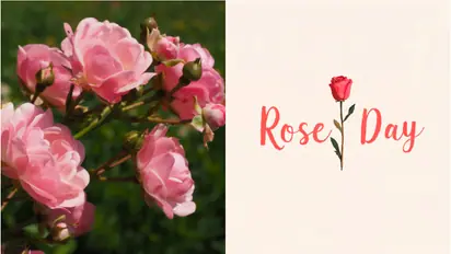 Happy Rose Day 2025: 10 Romantic quotes, WhatsApp and Facebook status you can share with your loved ones