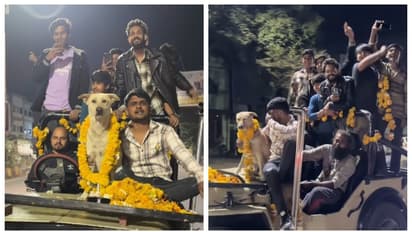 തുറന്ന ജീപ്പില് തെരുവ് പട്ടിയുടെ ജന്മദിനം ആഘോഷിച്ച് ഒരു കൂട്ടം യുവാക്കൾ; വീഡിയോ വൈറൽ