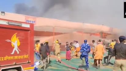 Fire breaks out at Maha Kumbh Mela in Prayagraj, multiple engines at spot (WATCH)